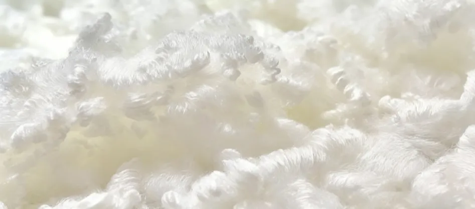 Είναι ο πολυεστέρας συνθετική ίνα; (2)