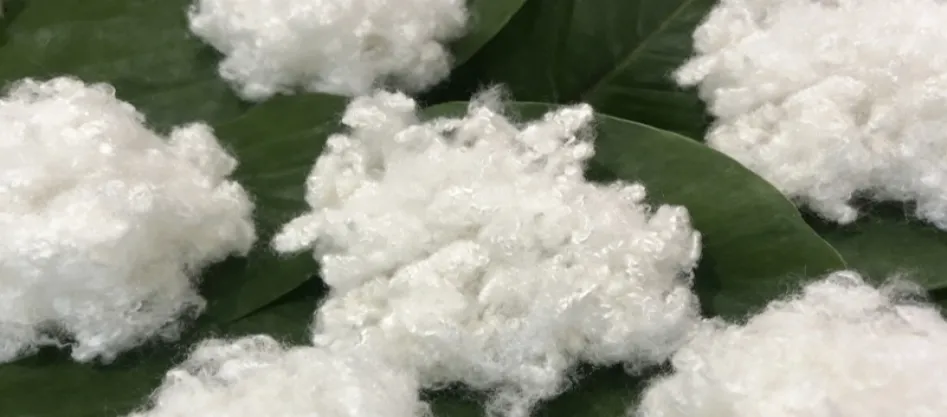 Είναι ο πολυεστέρας συνθετική ίνα; Κάτι που πρέπει να γνωρίζετε