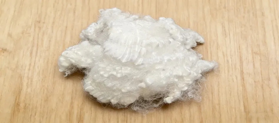 Τι είναι η Virgin Conjugate Fiber;